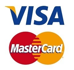 VG655 Visa Mastercard Payment